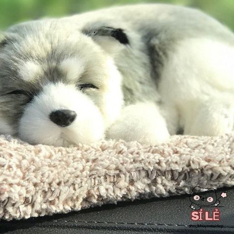 Thú Bông Cún Xám Trắng Lọc Không Khí Than Hoạt Tính - Đồ Trang Trí Xe Hơi Ô Tô Giống Thật 99% Khử Mùi Hiệu Quả