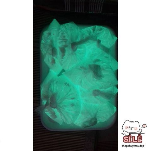 Bột Dạ Quang Xanh Lá - Trang Trí Handmade Phát Sáng Độc Đáo Cho Quán Bar, Karaoke, Đồ Thủ Công Sáng Tạo 10g