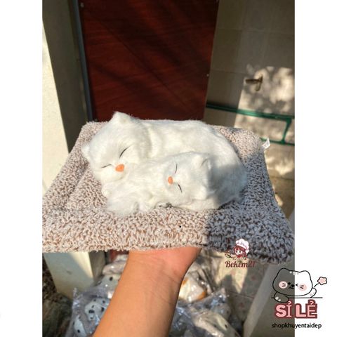 Đồ trang trí chó mèo than hoạt tính phát tiếng kêu - Khử mùi ô tô, quà tặng dễ thương cho trẻ em và trang trí nhà cửa