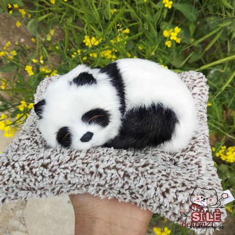 Gấu Bông Khử Mùi Ô Tô Dễ Thương - Chó, Mèo Than Hoạt Tính, Trang Trí Xe Hơi, Quà Tặng Trẻ Em, 2 Kích Cỡ Đáng Yêu