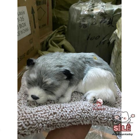 Gấu Thú Bông Cún Xám Đôi Mẹ Con 99% Giống Thực - Phụ Kiện Trang Trí Xe Hơi Khử Mùi Lõi Than Hoạt Tính Đáng Yêu