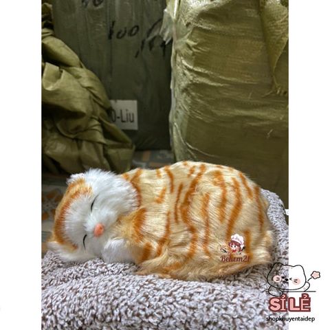Gấu Thú Bông Cún Xám Đôi Mẹ Con 99% Giống Thực - Phụ Kiện Trang Trí Xe Hơi Khử Mùi Lõi Than Hoạt Tính Đáng Yêu