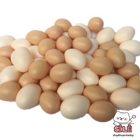 Bộ trứng giả cho chim bồ câu và gà tre - 10 hoặc 15 trứng rỗng, hỗ trợ ấp và tối ưu không gian sống cho thú cưng