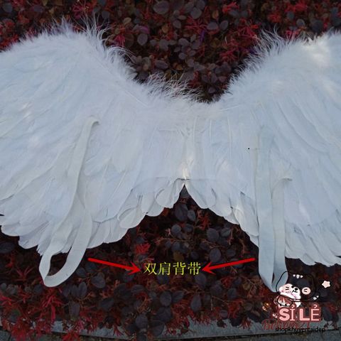 Cánh Thiên Thần và Cánh Ác Quỷ Lông Vũ Cho Cosplay Halloween - Phụ Kiện Chụp Ảnh Thời Trang Cho Trẻ Em và Người Lớn