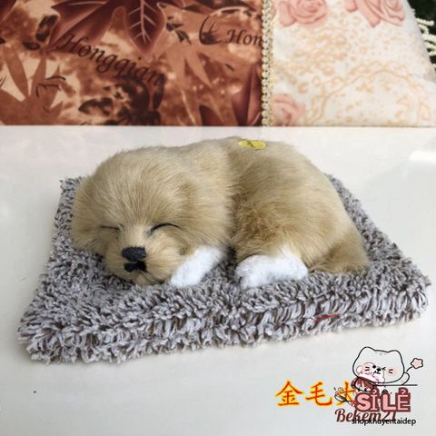Bình lọc nước cho thú cưng - Lõi than hoạt tính khử mùi, trang trí phòng và quà tặng dễ thương cho chó mèo
