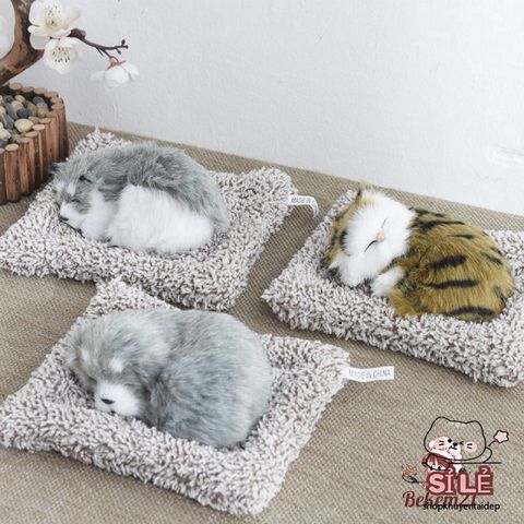Bình lọc nước cho thú cưng - Lõi than hoạt tính khử mùi, trang trí phòng và quà tặng dễ thương cho chó mèo