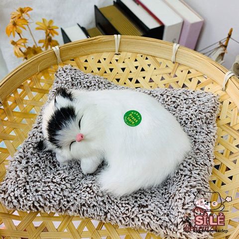 Bình lọc nước cho thú cưng - Lõi than hoạt tính khử mùi, trang trí phòng và quà tặng dễ thương cho chó mèo