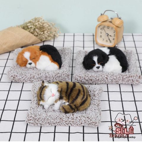 Bình lọc nước cho thú cưng - Lõi than hoạt tính khử mùi, trang trí phòng và quà tặng dễ thương cho chó mèo