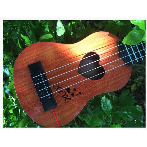Đàn Ukelele Mini 45cm Dây Cước Cao Cấp - Âm Thanh Chuẩn, Phụ Kiện Âm Nhạc Cho Người Yêu Nhạc