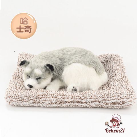 Thú bông Chó PUG than hoạt tính khử mùi - Sản phẩm trang trí ô tô, lọc không khí tự nhiên cho gia đình và trẻ nhỏ