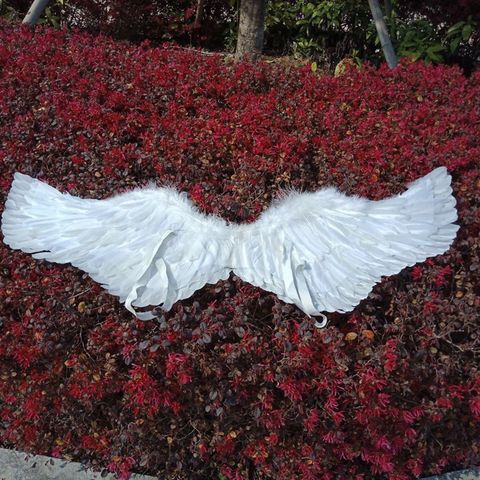 Cánh Thiên Thần Cosplay Đen Trắng Đỏ - Cánh Lông Vũ Hóa Trang Cho Trẻ Em và Người Lớn - Phù Hợp Tiệc Tùng