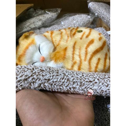 Thú Bông Chó Mèo Than Hoạt Tính - Trang Trí Ô Tô, Bàn Làm Việc, Khử Mùi, Thiết Kế Dễ Thương, Giúp Không Gian Trong Lành