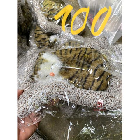 Thú Bông Chó Mèo Than Hoạt Tính - Trang Trí Ô Tô, Bàn Làm Việc, Khử Mùi, Thiết Kế Dễ Thương, Giúp Không Gian Trong Lành
