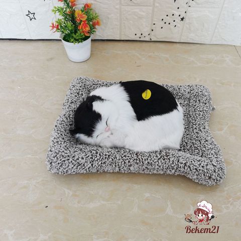 Gấu Bông Chó Mèo Có Tiếng - Nhồi Than Hoạt Tính Khử Mùi, Trang Trí Xe Ô Tô, Phòng Ngủ, Quà Tặng Cho Trẻ Em, Kích Thước 28x20cm