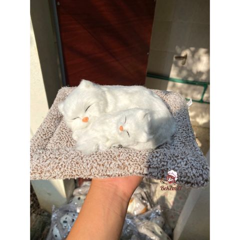Thú Bông Chó PUG Than Hoạt Tính 99% - Khử Mùi, Lọc Không Khí, Trang Trí Ô Tô và Bàn Làm Việc, Đáng Yêu Cho Trẻ Nhỏ