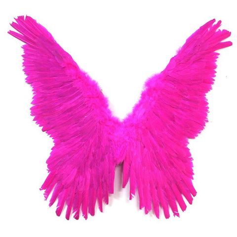 Đôi Cánh Thiên Thần Lông Vũ Màu Sắc - Đạo Cụ Hóa Trang Halloween Cho Trẻ Em và Người Lớn, Cosplay Độc Đáo