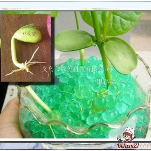 Gói Hạt Nở Trang Trí Nhiều Màu 50gr - Thích Hợp Cho Slime Và Lọ Hoa, Dễ Dàng Sử Dụng Tại Nhà