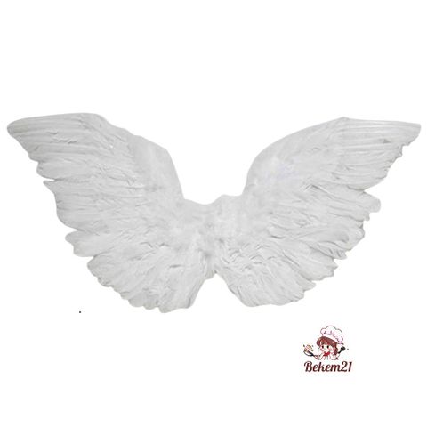 Cánh Thiên Thần Hóa Trang Trẻ Em - Cánh Vũ Lông Nhẹ Để Biểu Diễn, Cosplay và Tiệc Tùng - Màu Trắng, Đen, Đỏ, Hồng