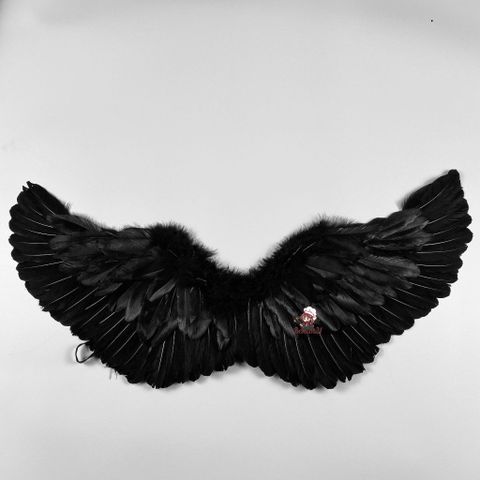 Cánh Thiên Thần Hóa Trang Trẻ Em - Cánh Vũ Lông Nhẹ Để Biểu Diễn, Cosplay và Tiệc Tùng - Màu Trắng, Đen, Đỏ, Hồng