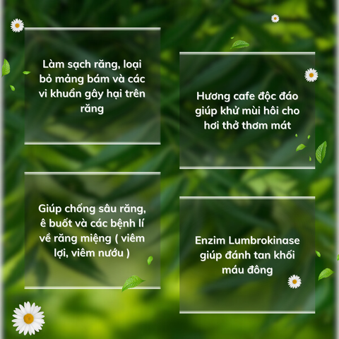 Kem Đánh Răng Thảo Dược Vsmile 150g - Hương Cafe Thơm Mát, Ngừa Sâu Răng, Tăng Cường Sức Khỏe Nướu