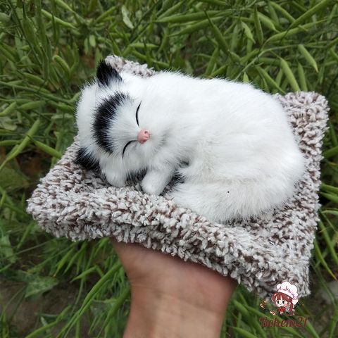 Chó Bull Để Taplo Xe Ô Tô - Phụ Kiện Trang Trí Văn Phòng Cool Ngầu Có Than Hoạt Tính - Kích Thước 28x20cm