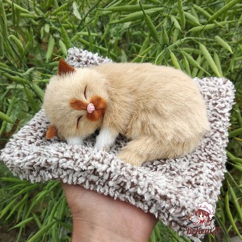 Chó Bull Để Taplo Xe Ô Tô - Phụ Kiện Trang Trí Văn Phòng Cool Ngầu Có Than Hoạt Tính - Kích Thước 28x20cm