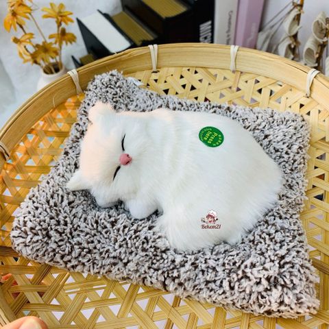 Chó Mèo Đôi Chứa Than Hoạt Tính Khử Mùi - Trang Trí Xe Hơi, Bàn Làm Việc Đáng Yêu, Lọc Không Khí Sạch, Phụ Kiện Tiện Ích