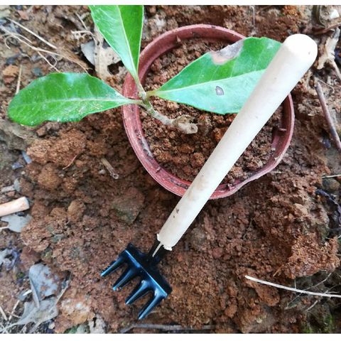 Bộ Dụng Cụ Làm Vườn Mini 3 Món Tiện Dụng - Xẻng, Cấy Xới Đất Cho Cây Cảnh & Bonsai, Dễ Sử Dụng, Chất Liệu Bền đẹp