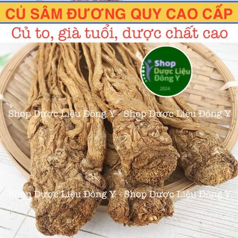Đương Quy Củ 100g - Thực Phẩm Khô Tự Nhiên Hỗ Trợ Cường Huyết, Giảm Đau Kinh Nguyệt, Tăng Cường Sức Khỏe Phụ Nữ