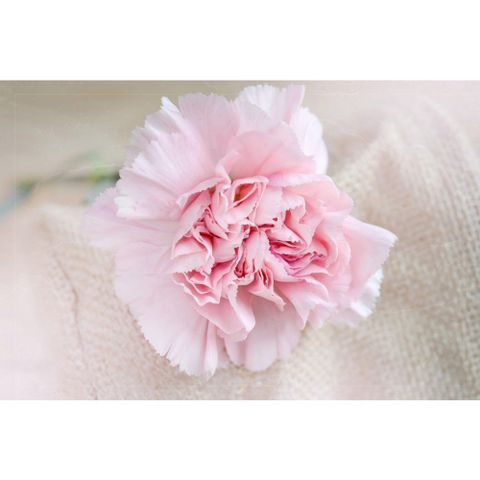 Bộ 24 Màu Phấn Tiên Master Pastel - Dùng Tô Màu Hoa Đất, Làm Tượng Chibi, Trang Điểm Búp Bê và Nhuộm Tóc An Toàn cho Trẻ Em