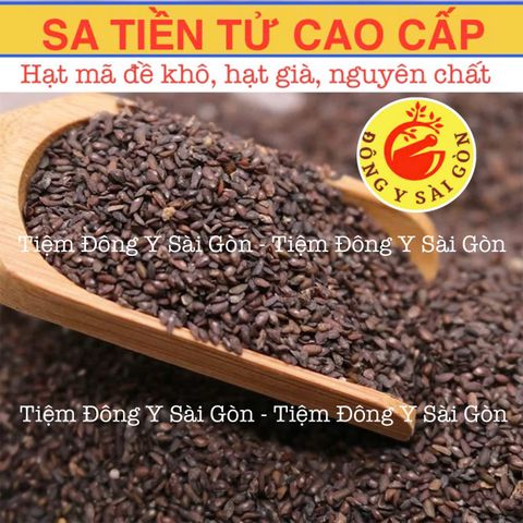 Sa Tiền Tử (Hạt Mã Đề) Sạch 100g - Thực Phẩm Khô Giúp Thanh Nhiệt, Lợi Tiểu và Hỗ Trợ Tiểu Tiện Bình Thường
