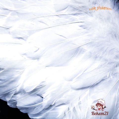Bộ Cánh Thiên Thần Hóa Trang Cho Bé Gái - Cánh Lông Vũ Dễ Thương Dịp Halloween, Tiệc Tùng, Cosplay - Chất Liệu An Toàn, Nhiều Kích Cỡ