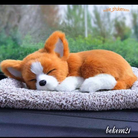 Gấu bông Chó Shiba vàng lông mượt khử mùi ô tô với than hoạt tính - Thú bông độc đáo trang trí nội thất xe hơi