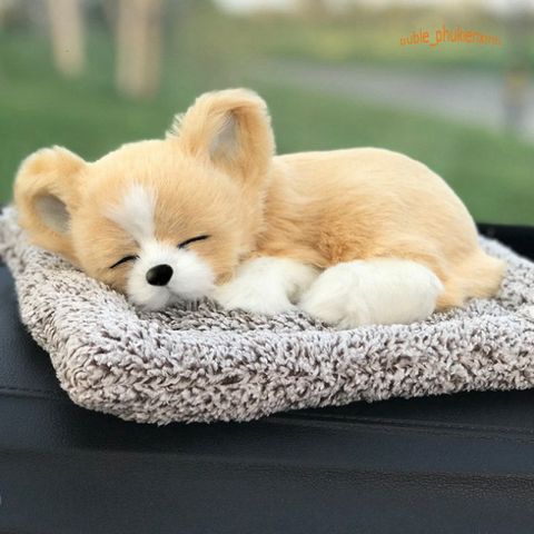 Gấu bông Chó Shiba vàng lông mượt khử mùi ô tô với than hoạt tính - Thú bông độc đáo trang trí nội thất xe hơi