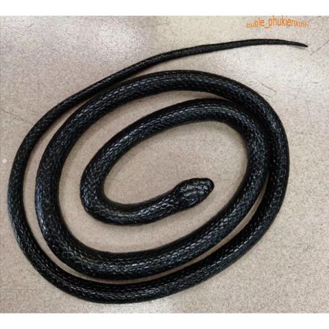 Con Rắn Giả Cao Su 120CM - Đồ Chơi Troll Hù Dọa, Quà Tặng Vui Nhộn Cho Trẻ Em và Tình Yêu Thú Cưng