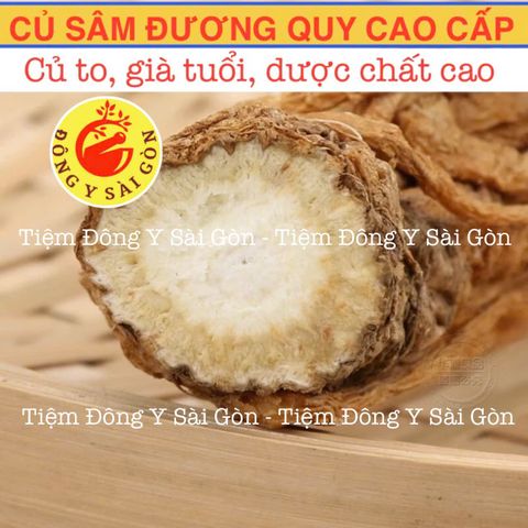Sâm Đương Quy Củ 100g - Sâm Râu Tươi Nguyên Chất, Hỗ trợ Tiêu Hóa, Cải Thiện Kinh Nguyệt, Sức Khỏe Phụ Nữ