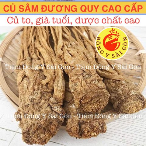 Sâm Đương Quy Củ 100g - Sâm Râu Tươi Nguyên Chất, Hỗ trợ Tiêu Hóa, Cải Thiện Kinh Nguyệt, Sức Khỏe Phụ Nữ