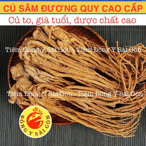 Sâm Đương Quy Củ 100g - Sâm Râu Tươi Nguyên Chất, Hỗ trợ Tiêu Hóa, Cải Thiện Kinh Nguyệt, Sức Khỏe Phụ Nữ