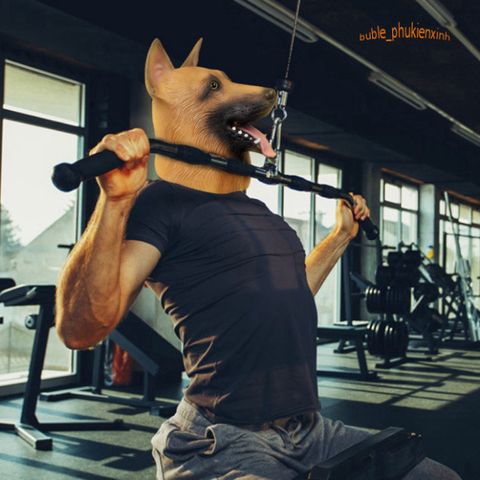 Mặt Nạ Chó Béc Giê Trùm Đầu - Hóa Trang Chất Lượng Cao Cho Shiba, Husky, Sói - Lý Tưởng Cho Halloween và Video Sáng Tạo
