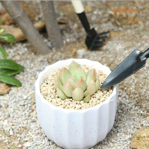 Bộ 3 Dụng Cụ Cuốc Xẻng Mini Trồng Cây Cảnh - Làm Vườn Đa Năng, Tiện Lợi Cho Đi Phượt