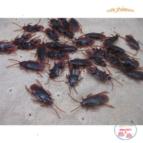 Mô Hình Gián Đồ Chơi Cho Chó Mèo - Dạ Quang, Nâu, Vàng, Đen - Giá Chỉ 1K, Trò Chơi Vui Nhộn Cho Thú Cưng, Phụ Kiện Halloween