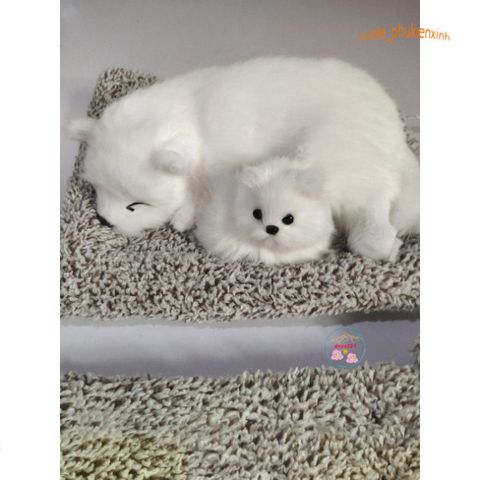 Thú Bông Hút Mùi Than Hoạt Tính Mèo Vằn Xám – Trang Trí Ô Tô và Bàn Làm Việc Đáng Yêu, Khử Mùi Hiệu Quả