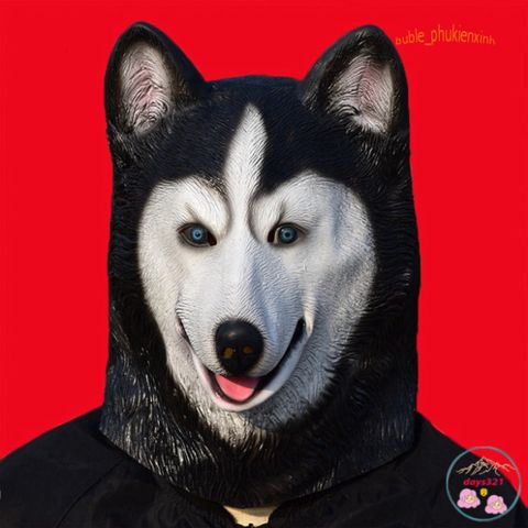 Mặt Nạ Hóa Trang Chó Husky 3D - Đạo Cụ Halloween Vui Nhộn, Thích Hợp Quay Video TikTok, Douyin và Tiệc Hóa Trang
