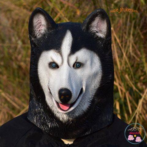 Mặt Nạ Hóa Trang Chó Husky 3D - Đạo Cụ Halloween Vui Nhộn, Thích Hợp Quay Video TikTok, Douyin và Tiệc Hóa Trang