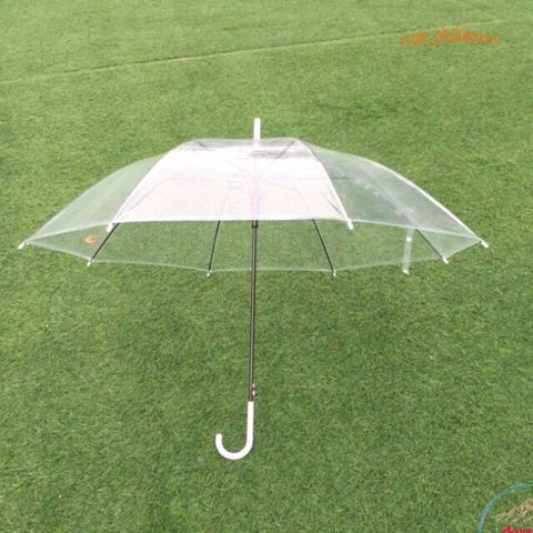 Ô Dù Trong Suốt Thời Trang Chống Nước - Phụ Kiện Mùa Mưa Sành Điệu, Khung Đen hoặc Trắng, Thiết Kế Hiện Đại