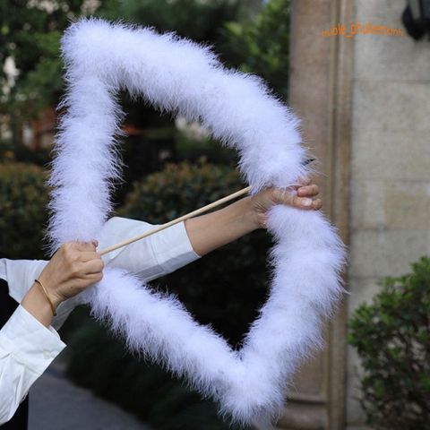 Cánh Thiên Thần Đen Trắng Cosplay - Phụ Kiện Hóa Trang Tiệc Tùng Halloween Cho Người Lớn & Trẻ Em, Độc Đáo, Giá Tốt