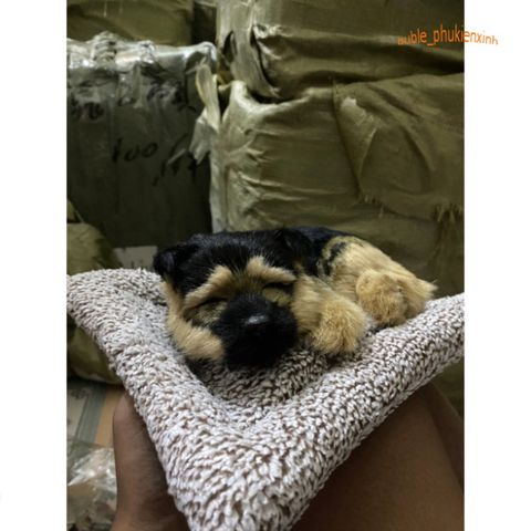 Chó PUG Thú Bông Hoạt Tính Khử Mùi - Đồ Trang Trí Dễ Thương Cho Ô Tô và Không Gian Sống, An Toàn Cho Trẻ Nhỏ