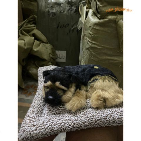 Chó PUG Thú Bông Hoạt Tính Khử Mùi - Đồ Trang Trí Dễ Thương Cho Ô Tô và Không Gian Sống, An Toàn Cho Trẻ Nhỏ