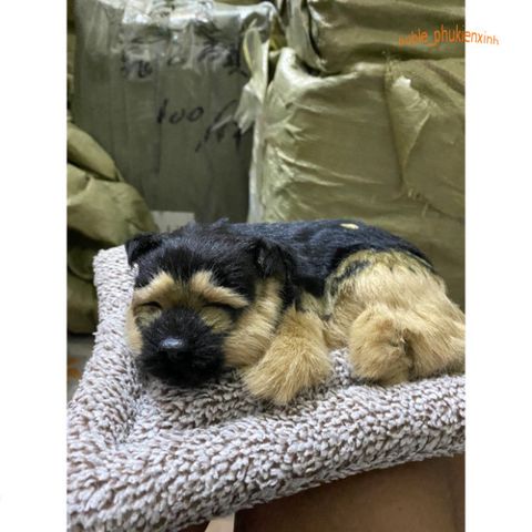 Chó PUG Thú Bông Hoạt Tính Khử Mùi - Đồ Trang Trí Dễ Thương Cho Ô Tô và Không Gian Sống, An Toàn Cho Trẻ Nhỏ