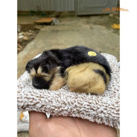 Chó PUG Thú Bông Hoạt Tính Khử Mùi - Đồ Trang Trí Dễ Thương Cho Ô Tô và Không Gian Sống, An Toàn Cho Trẻ Nhỏ